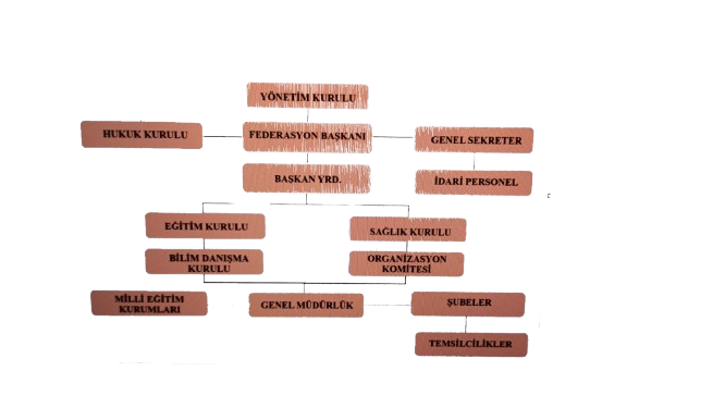 Yoga Federasyonu Belgelendirme Kuruluşu Organizasyon Şeması